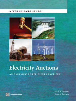 cover image of Electricity Auctions